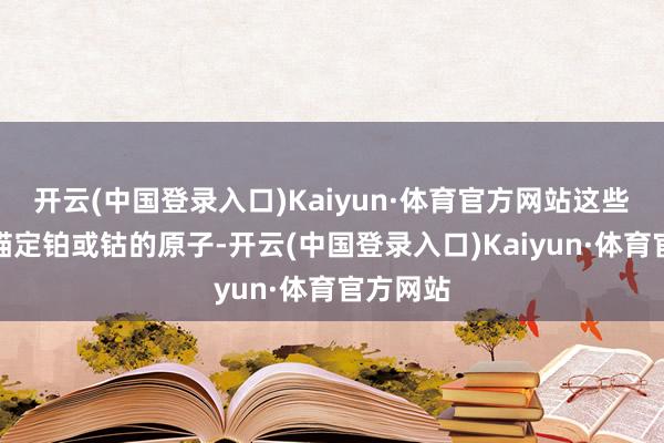 开云(中国登录入口)Kaiyun·体育官方网站这些结构可锚定铂或钴的原子-开云(中国登录入口)Kaiyun·体育官方网站