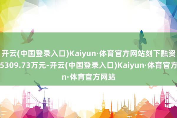 开云(中国登录入口)Kaiyun·体育官方网站刻下融资余额5309.73万元-开云(中国登录入口)Kaiyun·体育官方网站