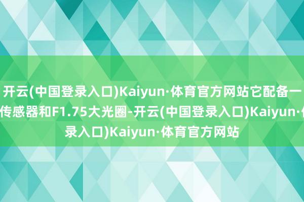 开云(中国登录入口)Kaiyun·体育官方网站它配备一英寸LYT900传感器和F1.75大光圈-开云(中国登录入口)Kaiyun·体育官方网站