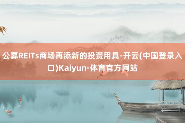 公募REITs商场再添新的投资用具-开云(中国登录入口)Kaiyun·体育官方网站