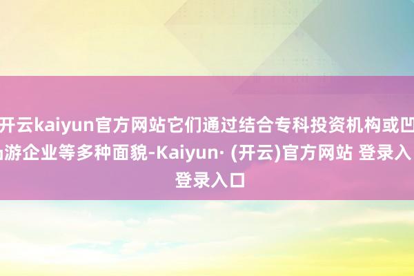 开云kaiyun官方网站它们通过结合专科投资机构或凹凸游企业等多种面貌-Kaiyun· (开云)官方网站 登录入口